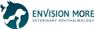 Envision More Veterinary Ophthalmology
