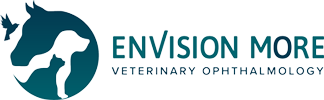 Envision More Veterinary Ophthalmology